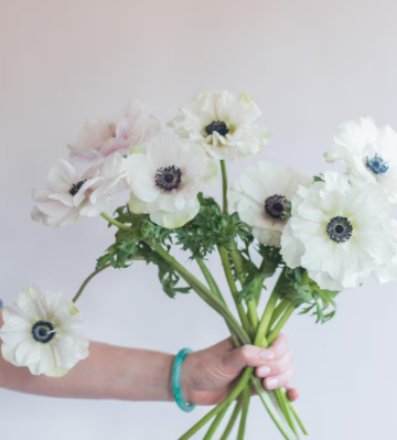 Anemones