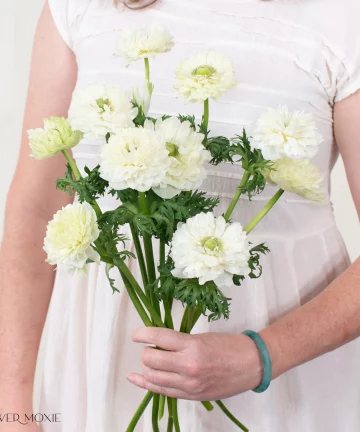 White Lotus Anemone Flower