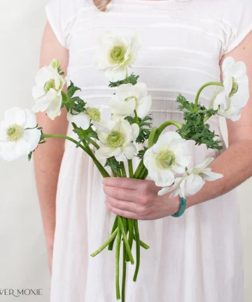 White Bianco Anemone Flower